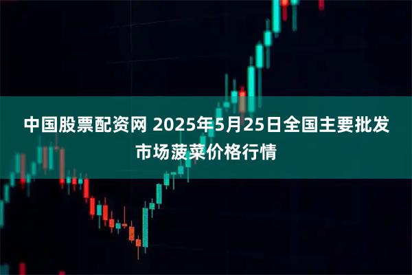 中国股票配资网 2025年5月25日全国主要批发市场菠菜价格行情