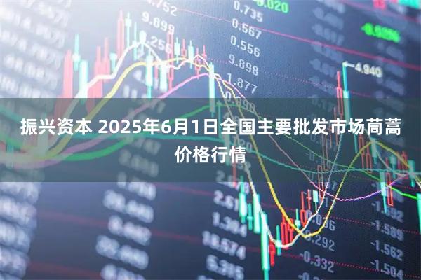 振兴资本 2025年6月1日全国主要批发市场茼蒿价格行情