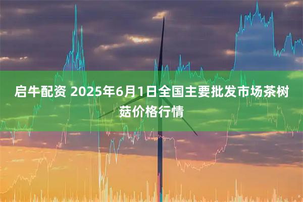 启牛配资 2025年6月1日全国主要批发市场茶树菇价格行情