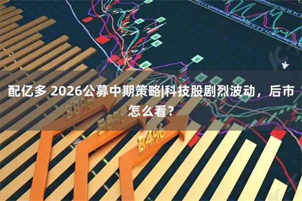 配亿多 2026公募中期策略|科技股剧烈波动，后市怎么看？
